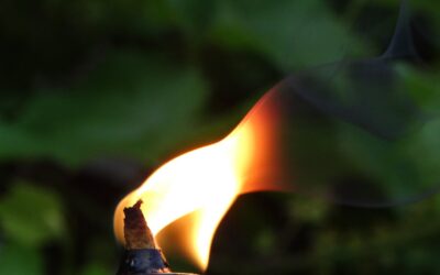 Pożegnanie ś.p. redaktora Jana Forowicza