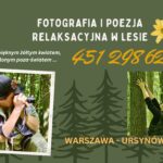 Kąpiele leśne