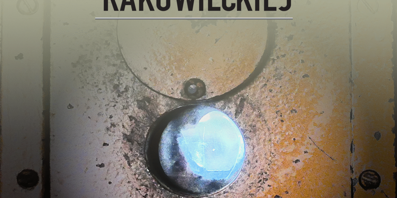Widzenie na Rakowieckiej