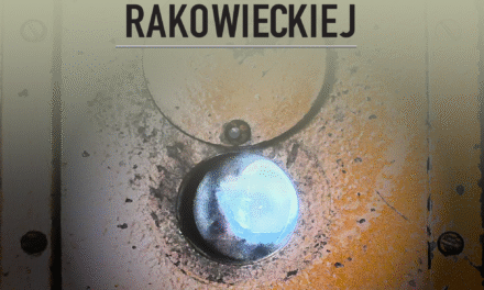 Widzenie na Rakowieckiej