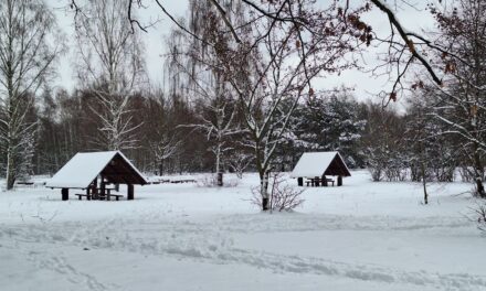 Wycieczka na Polanę Opaleń