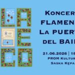Koncert flamenco